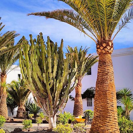 Flor De Las Dunas Pools Wifi Tennis Bikes For Free Corralejo Luaran gambar