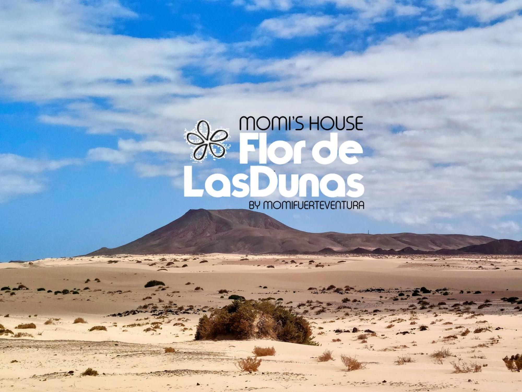 Flor De Las Dunas Pools Wifi Tennis Bikes For Free Corralejo Luaran gambar